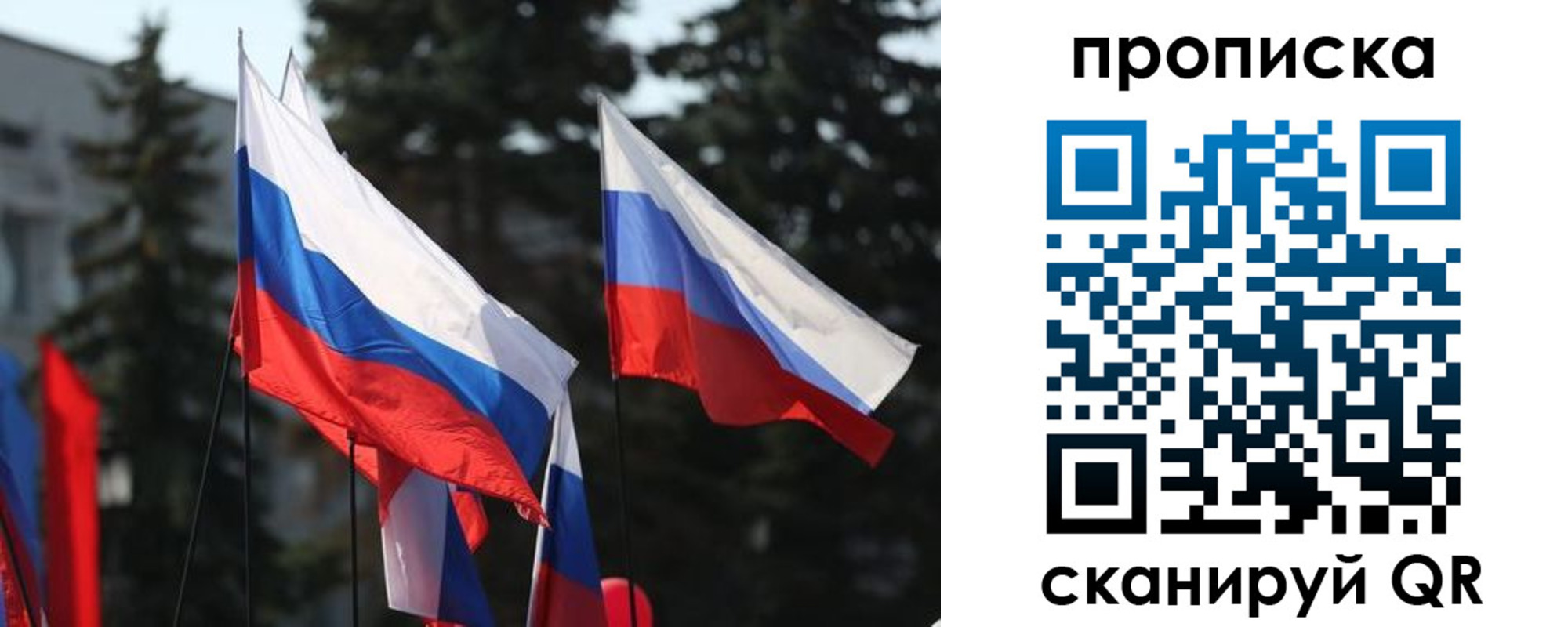прописка законно в Ельне
